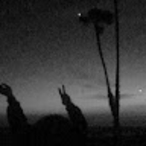 Meet your Posher, Nikki - Picture 1 of 1